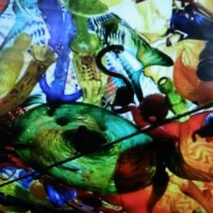 Meet your Posher, Patricia